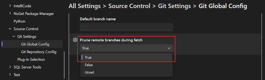 Screenshot that shows the 'Prune remote branches during fetch' option with 'True' selected in the dropdown list.
