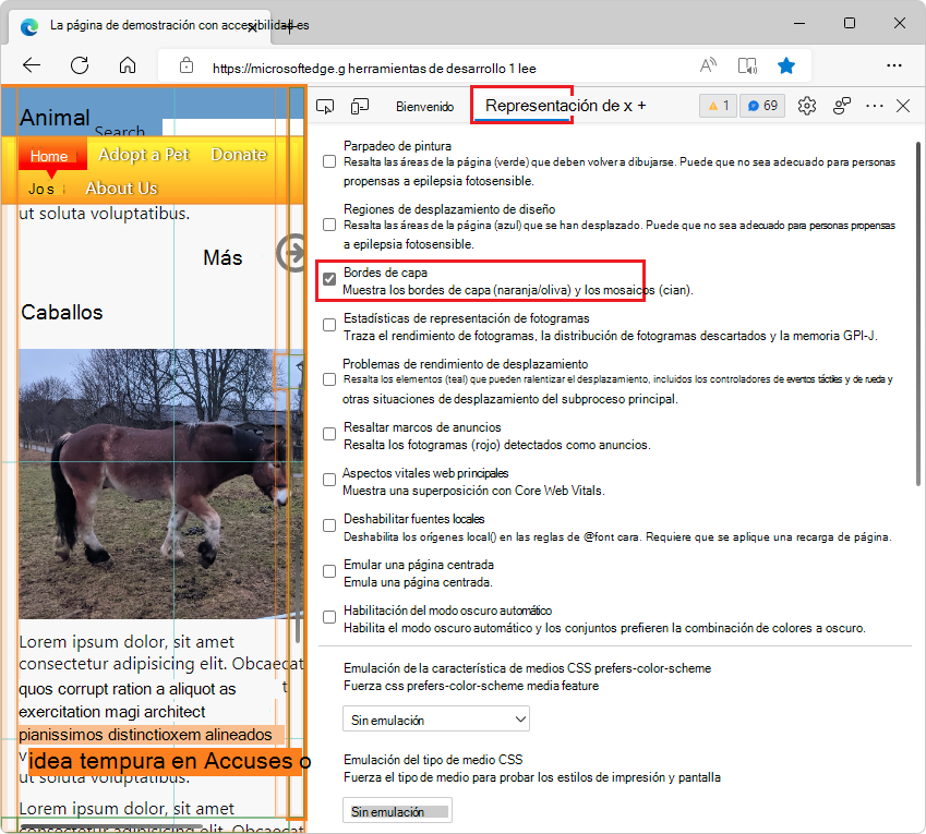 La herramienta Representación, con la casilla 