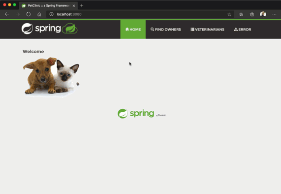 Captura de pantalla en la que se muestra la implementación local de la aplicación de ejemplo de la clínica veterinaria.